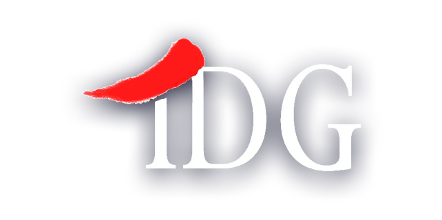 logo idg light
